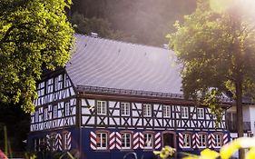 Schwarzwaldgasthof Hotel Schlossmühle